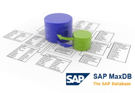 Test Suite for SAP MaxDB